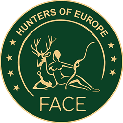 face