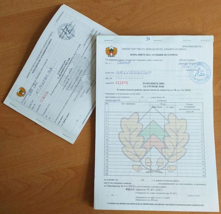 разрешителните