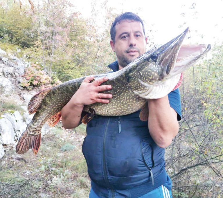 щука 13 килограма