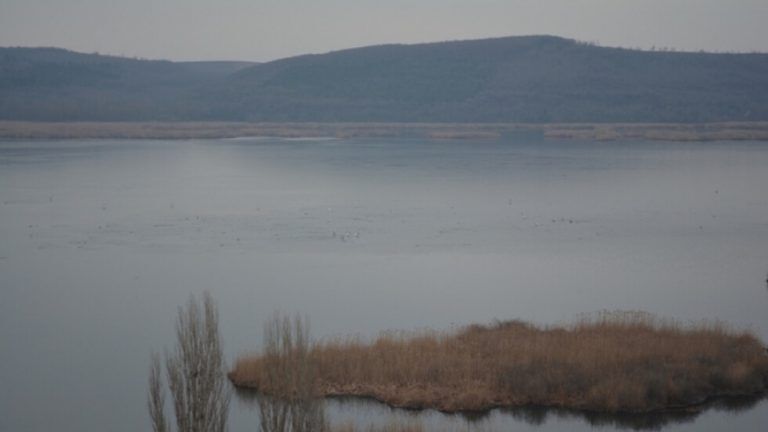 сребърна