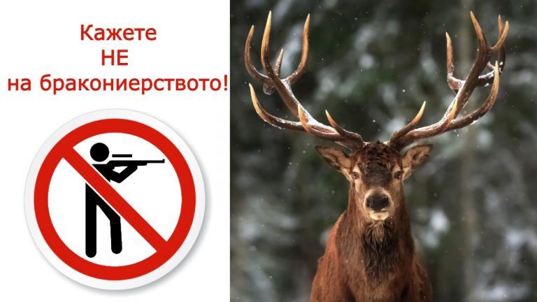 Не на бракониерството
