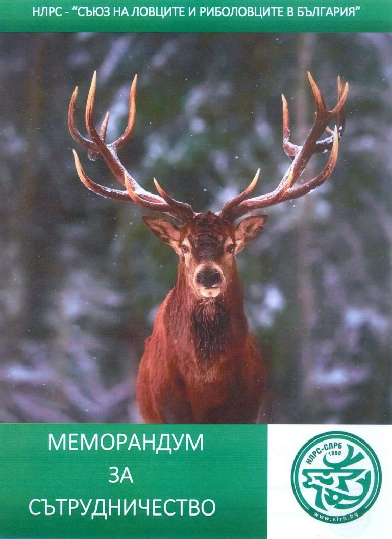 БСП - меморандум