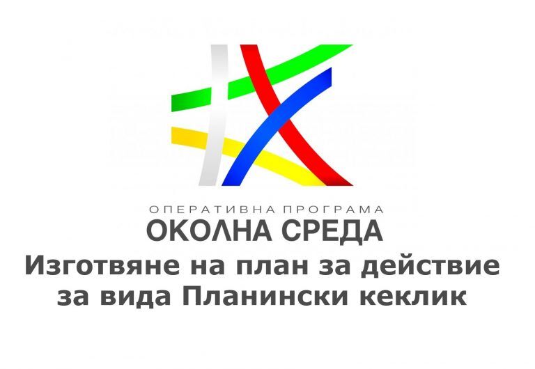 планински кеклик