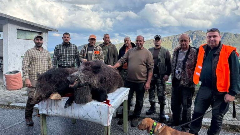 асеновград пъдпъдъци