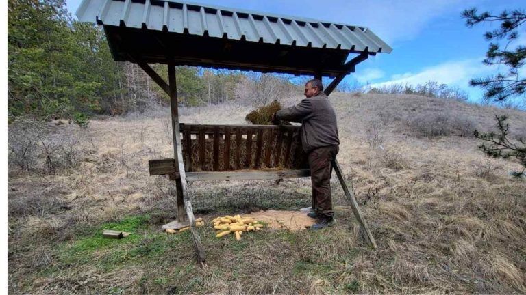 бяла хранилките