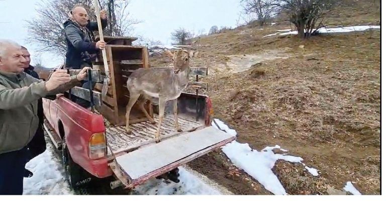 девин разселване