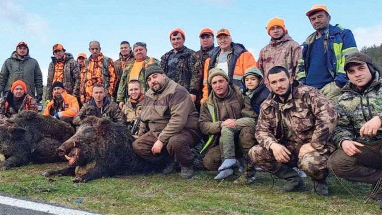 крумовград отчет