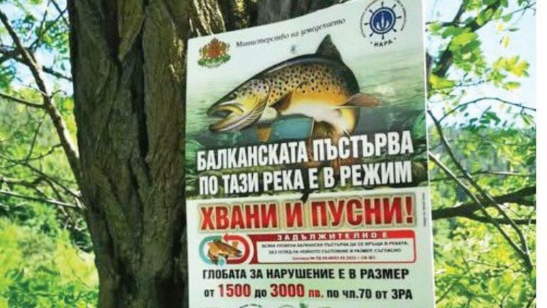 режима „хвани-пусни“