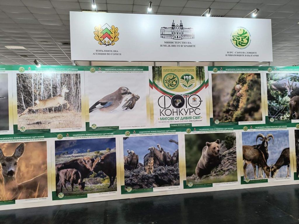 ПРИРОДА, ЛОВ, РИБОЛОВ