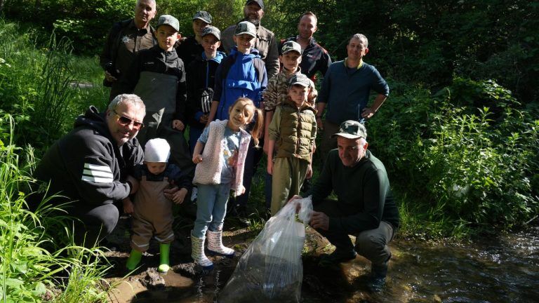 зарибяване реката