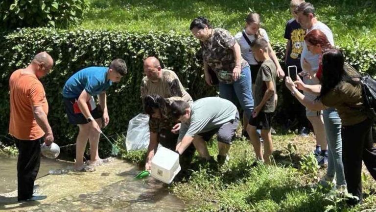 зарибяване габрово