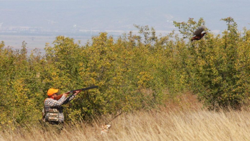 турнир