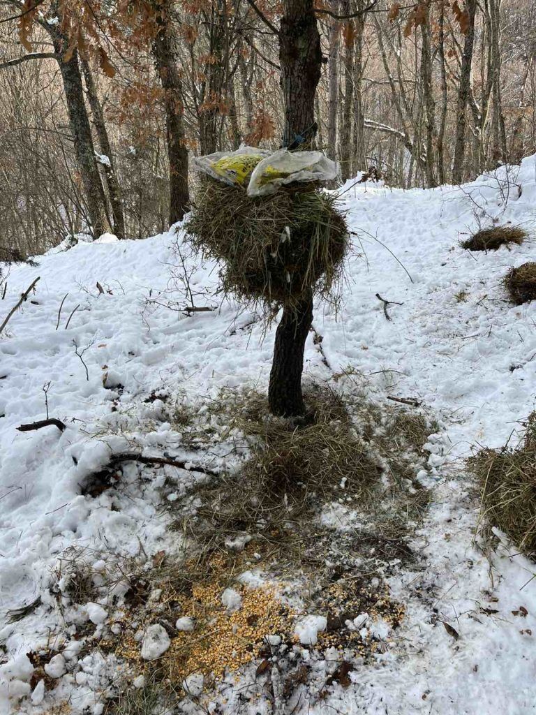 подхранване благоевград