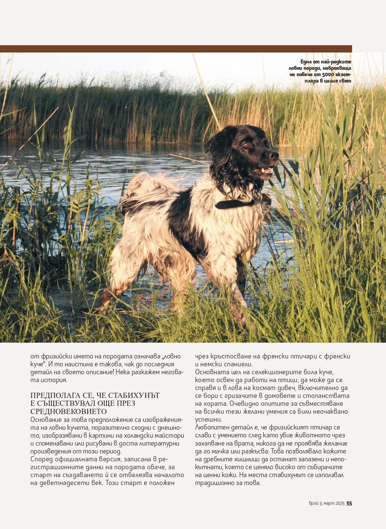 spisanie lov i ribolov br 3-2025_str 55